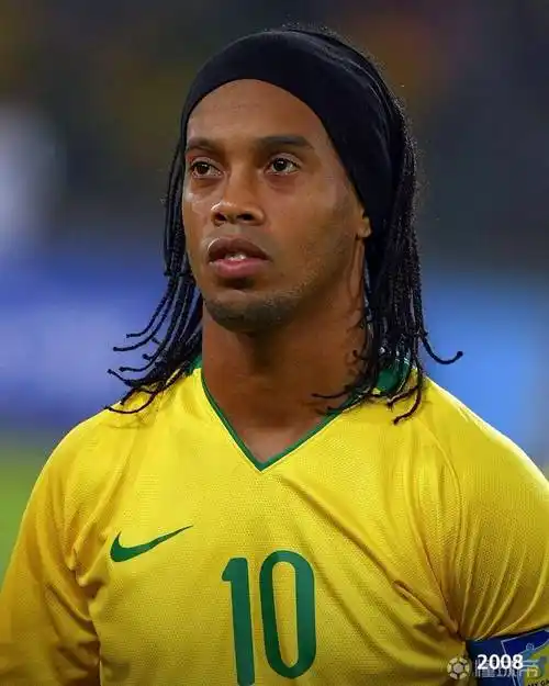 L的高水平 L的高水平